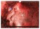 Thumbnail-14