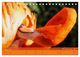 Thumbnail-10