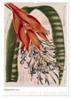 Thumbnail-13