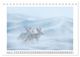 Thumbnail-12