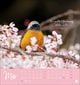 Thumbnail-4