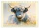 Thumbnail-14