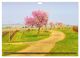 Thumbnail-14