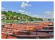 Thumbnail-8
