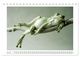 Thumbnail-11