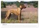 Thumbnail-10