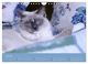 Thumbnail-9