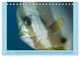 Thumbnail-9