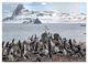 Thumbnail-11