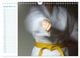 Thumbnail-14