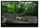 Thumbnail-10