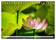 Thumbnail-10