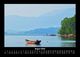 Thumbnail-12