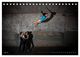 Thumbnail-12