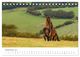Thumbnail-14