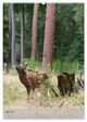Thumbnail-11