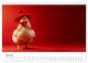 Thumbnail-10