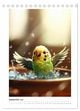 Thumbnail-14