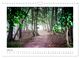 Thumbnail-12