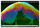 Thumbnail-8