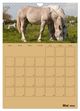 Thumbnail-10