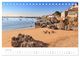 Thumbnail-11