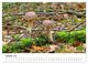 Thumbnail-11