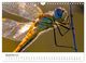 Thumbnail-14