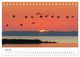 Thumbnail-12