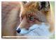 Thumbnail-9