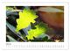 Thumbnail-12