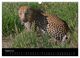 Thumbnail-10