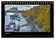 Thumbnail-12