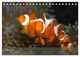Thumbnail-10