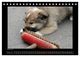 Thumbnail-12