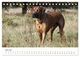 Thumbnail-11