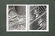 Thumbnail-17