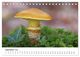 Thumbnail-14