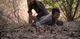 Thumbnail-10