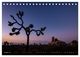 Thumbnail-12