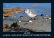 Thumbnail-11