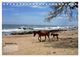 Thumbnail-14