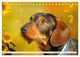 Thumbnail-14