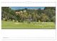 Thumbnail-11