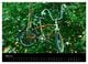Thumbnail-9