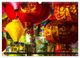 Thumbnail-11