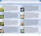 Thumbnail-10