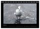 Thumbnail-9