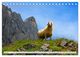 Thumbnail-12