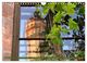 Thumbnail-11